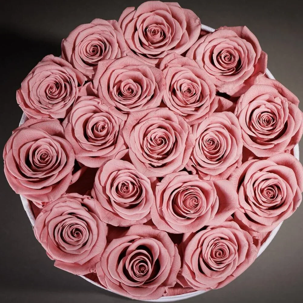 17 Flowers in a Luxury Suede Box Birthday Gifts Preserved Flowers Dusty Rose